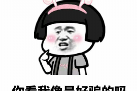 汝州讨债公司成功追回初中同学借款40万成功案例